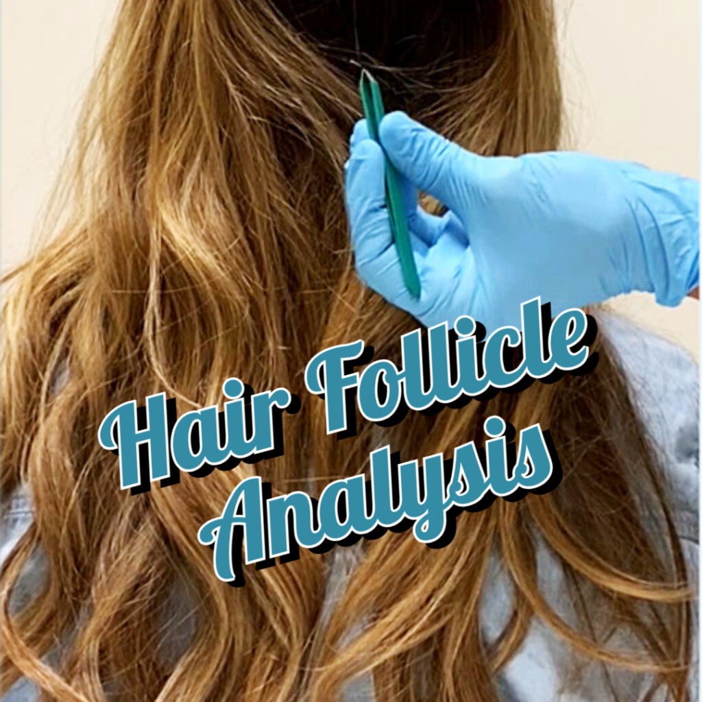 Hair Follicle Analysis Kit